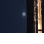 Moonlit squad