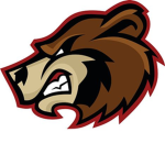 THE MIGHTY BEARS