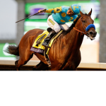 Vally Of Horses!(rp group)