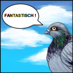 Die FANTASTISCHEN Tauben !