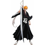 soul reaper/lightning