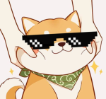Doge's cool group