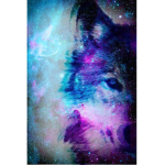 Storm Vader Offical Group