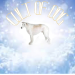 cult of dog