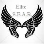 Secret Elite Advanced Regiment Honors Division