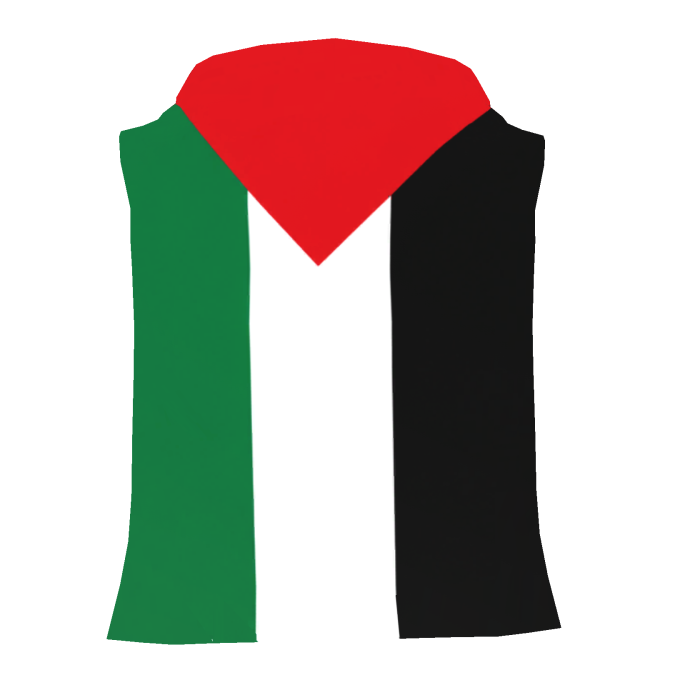 Palestinee Flag Cape