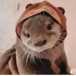 Conejitos kawaii :3