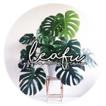 Leafu–