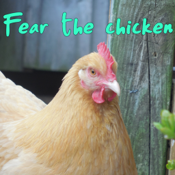 Chicken Coop