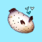 Oceanic Club