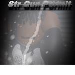 STR GUN PERMIT