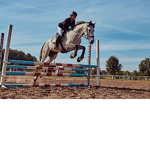 Acro Academy