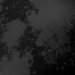 dnilik designs
