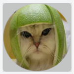 ROBUX FOR GABER