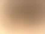 Newton RP Community