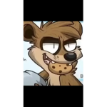 Rigby club