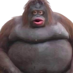 Smelly Morphs!