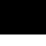 e1e1