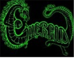 Emerald Nation High Council