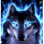 Welcome wolf pack!