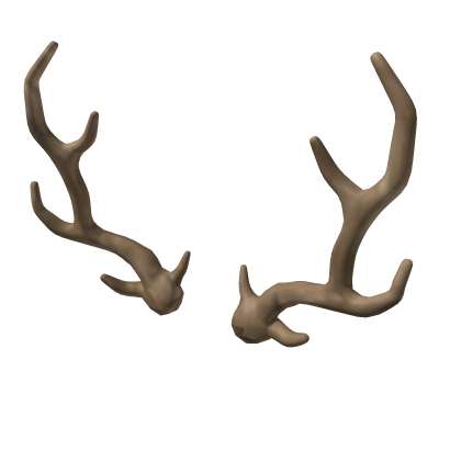 deer antlers