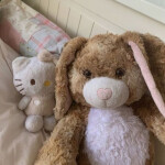 ⋆ ˚｡⋆୨🧸୧⋆˚｡⋆