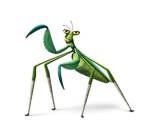asome kids