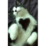 BratsPhobic <3
