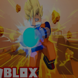 Dragonball Home Store