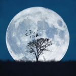 Moon Hotel