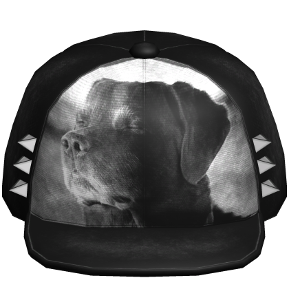 Black Emo Chill Dog Meme Distressed Studded Cap Roblox item