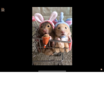 Hamster funny