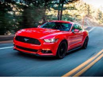 ZoomZoom gangz