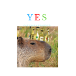 .Capybaraco.