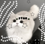 .・star・.