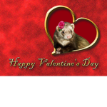 The Coco Ferrets