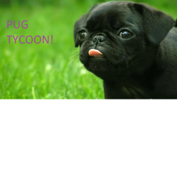 PUG TYCOON!