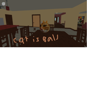 cat is ball