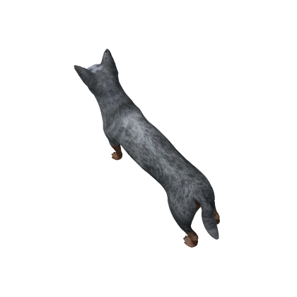 The Big Doggy