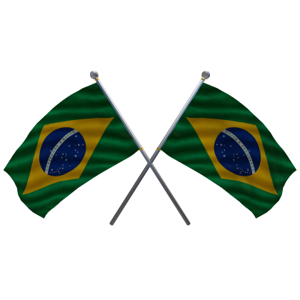 🇧🇷 Brazil Shoulder Double Flag