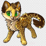 Ocelot's