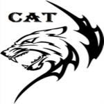 Courageous Adventurous Teams