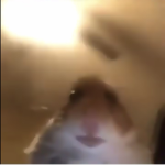Ratatouille fanclub