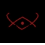 The Sect Of Vision