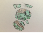 Turtle Power T3am