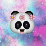 Thecoolkitten143