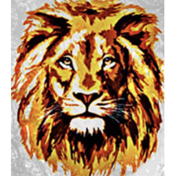 TheLionWarriors Interview Centre