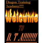 D.T.R: Dragon Training Acadamy