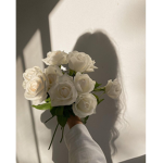 x~White roses~x