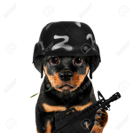 Puppy Army!!!!!